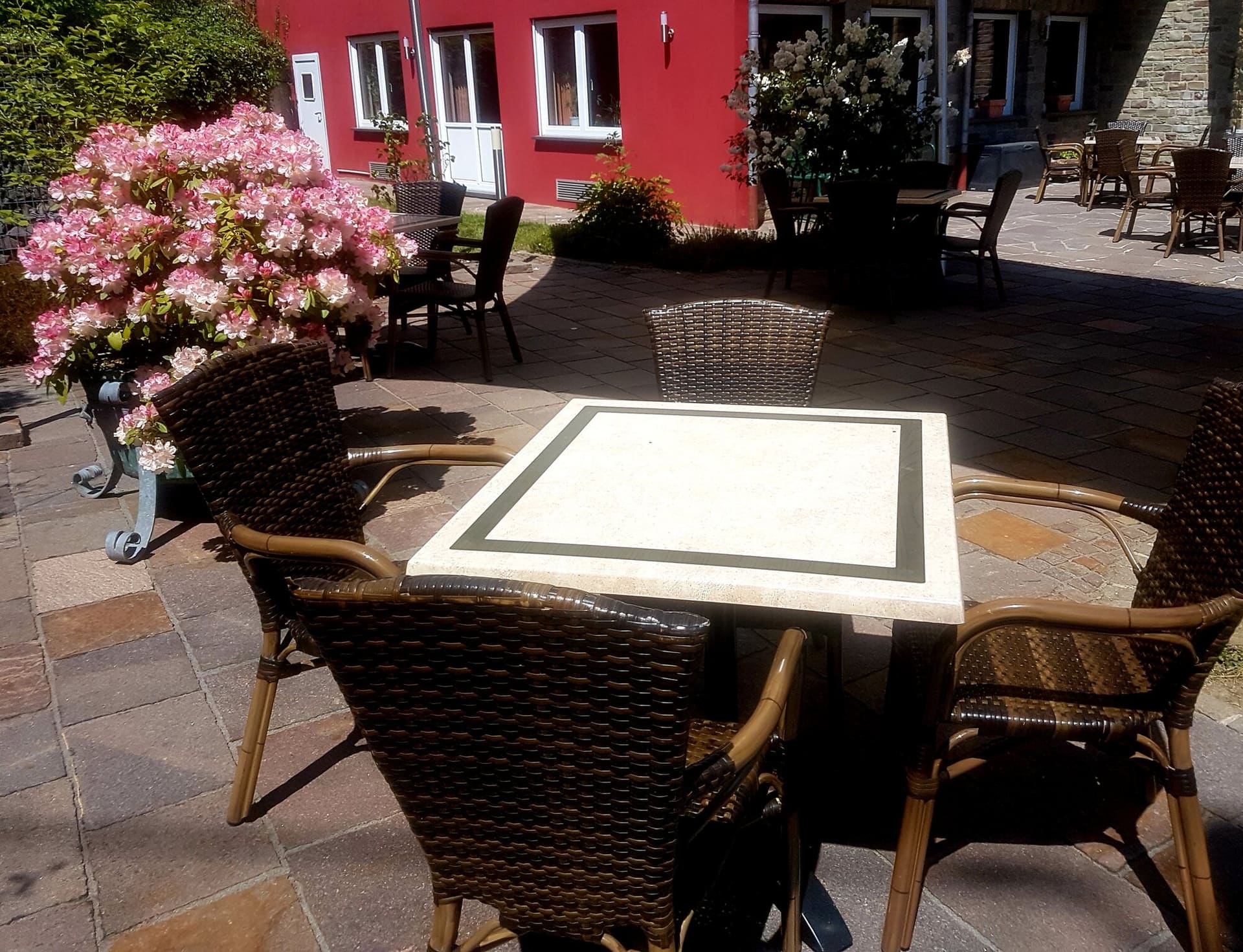 Terrasse ensoleillée avec hortensias