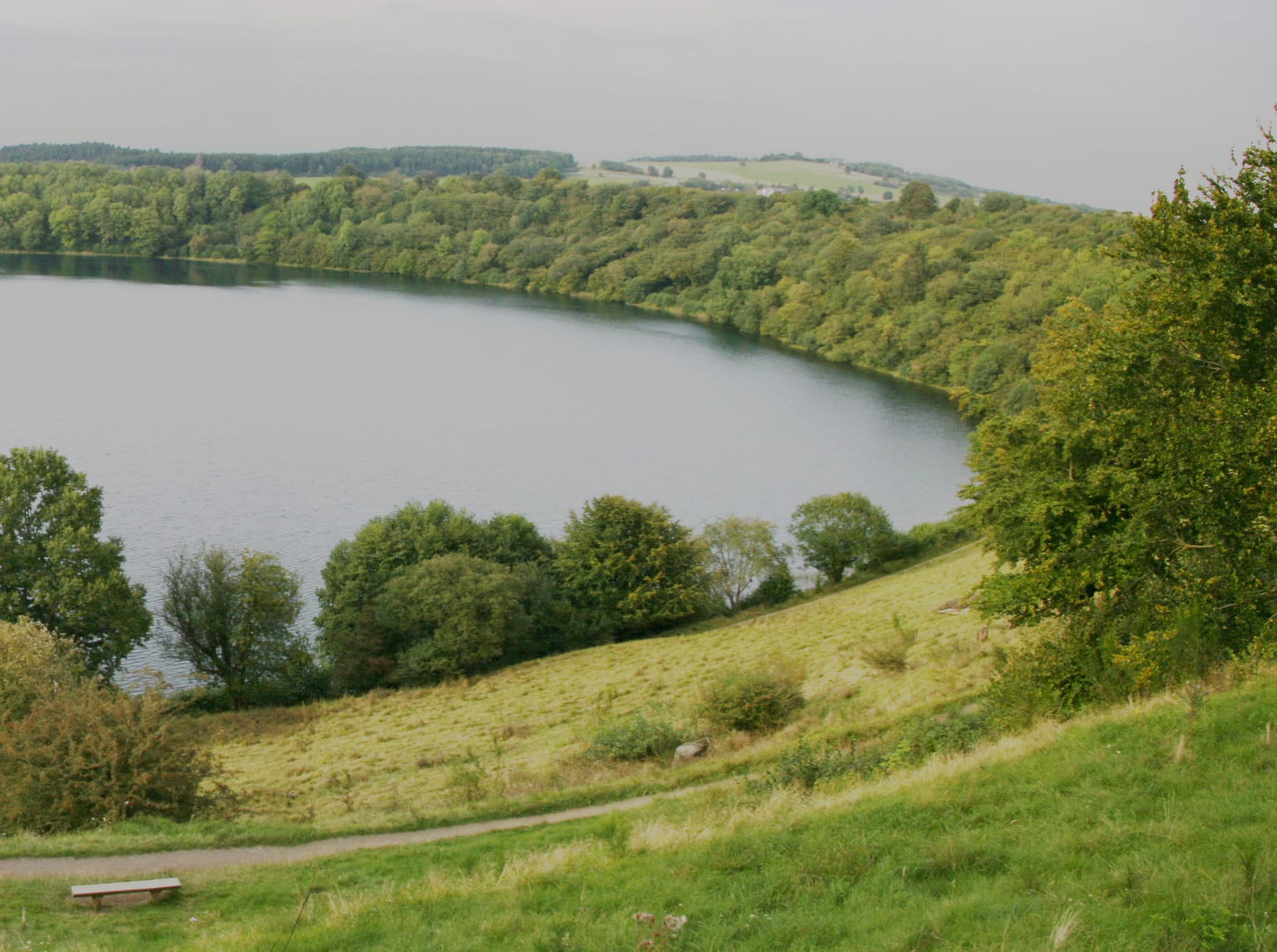 Ciel étoilé au-dessus de l'Eifel volcanique près d'Immerath