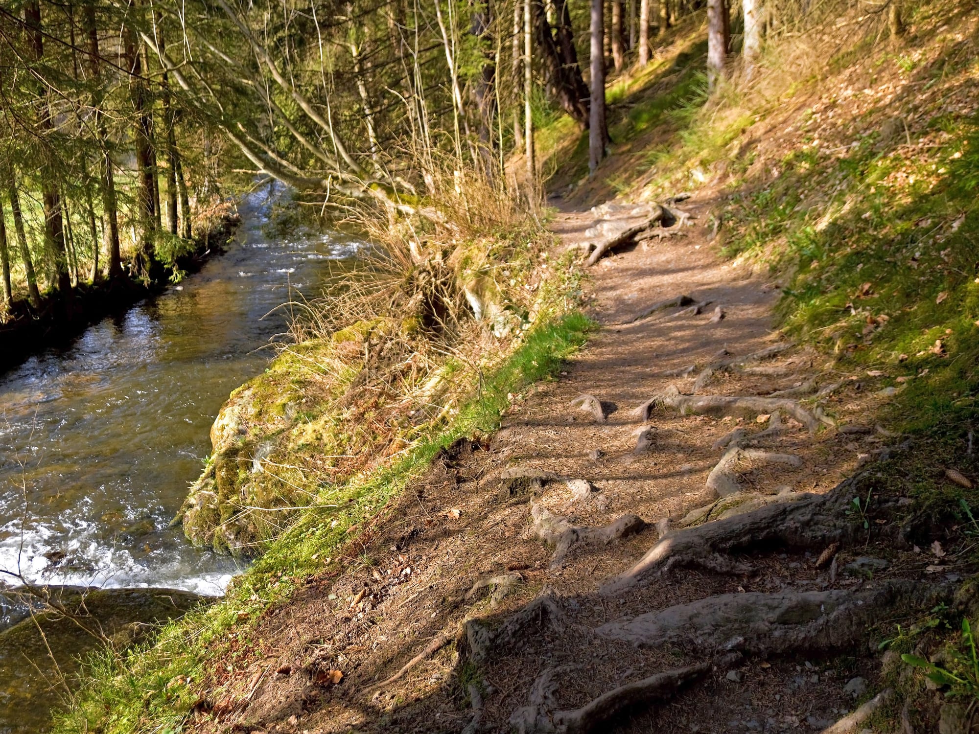 Genietvolle Eifeler wandeldagen