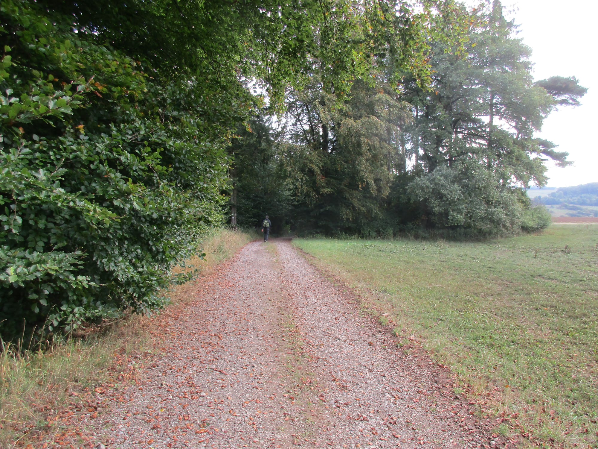 Aventures à vélo dans l'Eifel — Aperçu 2