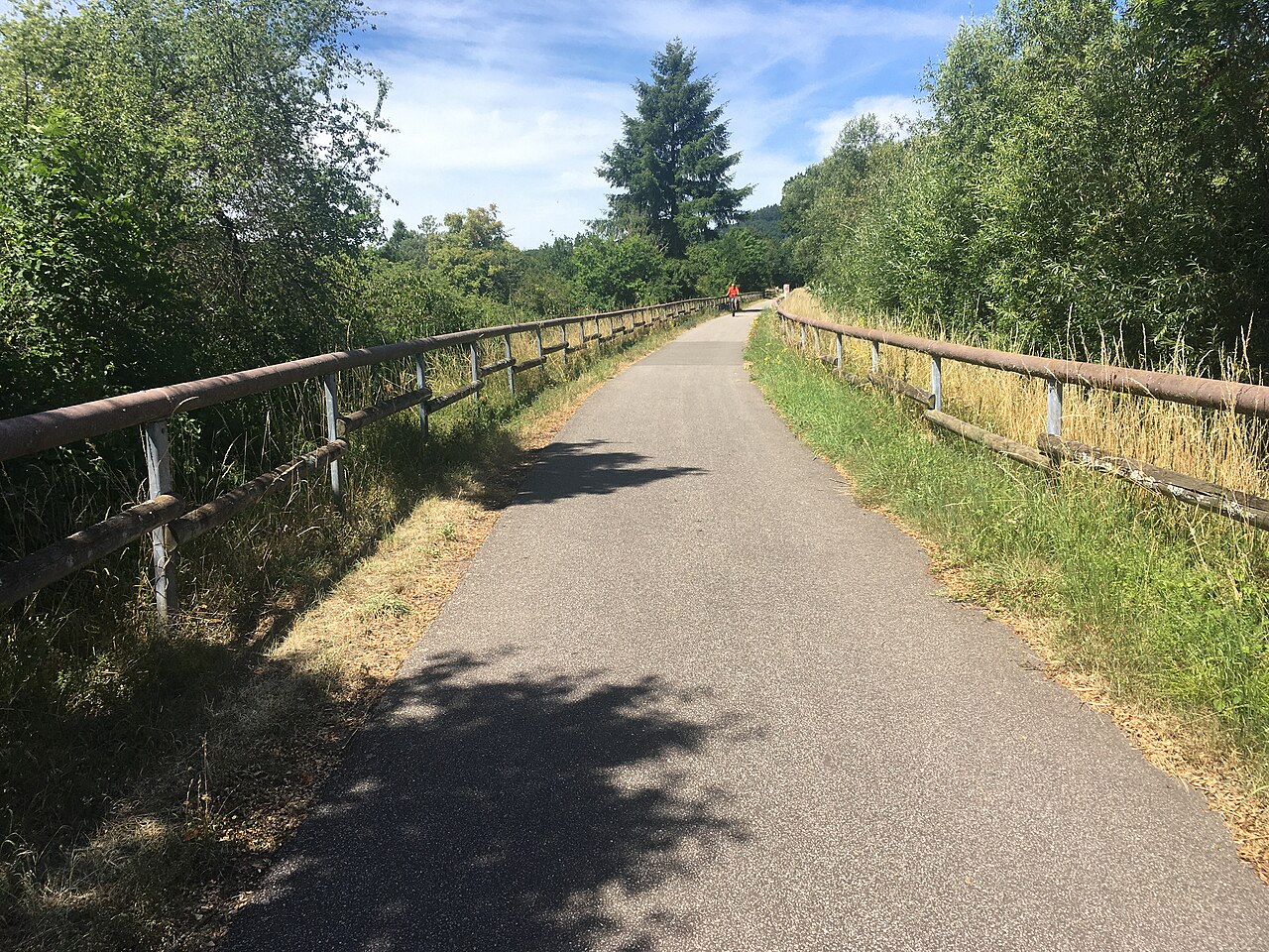 Der Maare-Mosel-Radweg auf der alten Bahntrasse